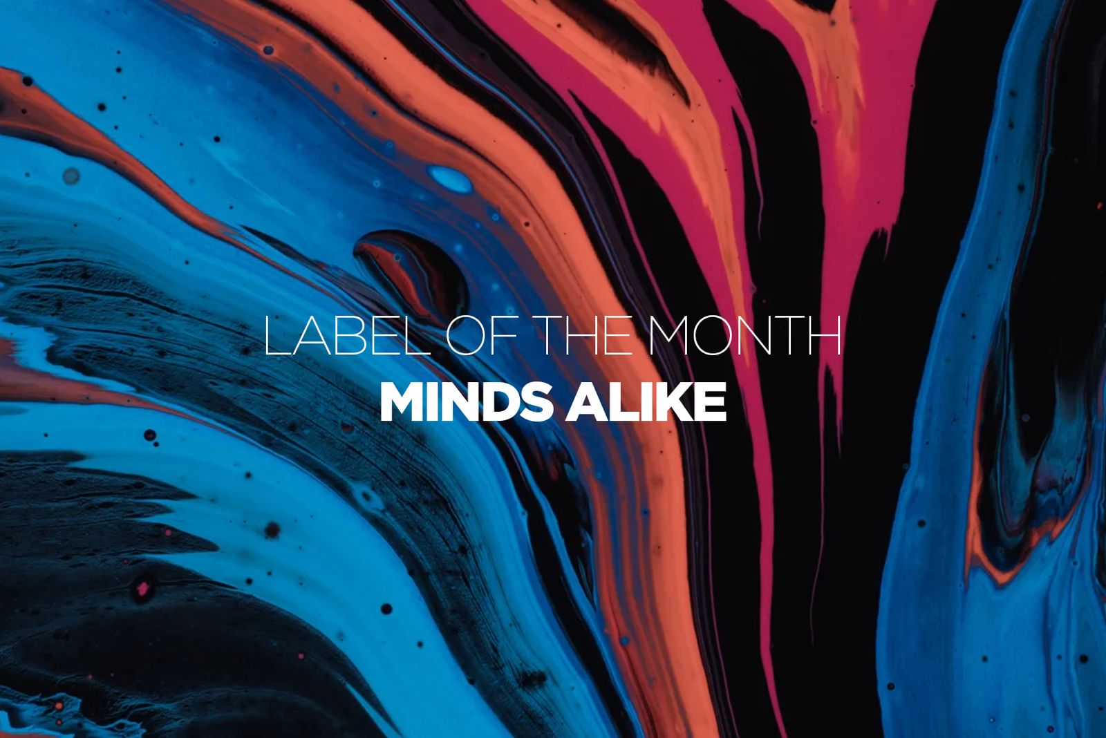 Label of the Month: Minds Alike Records